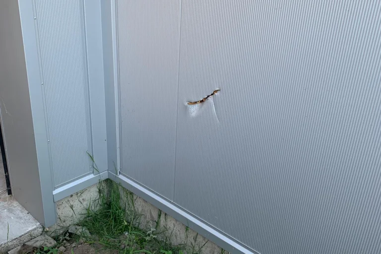 e6edaf55-35bf-4ae2-bfaf-2f9c798abea7-9c6bdb56